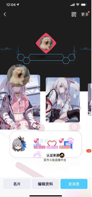 QQ自定义动态名片,QQ自定义静态名片,QQ个性美化名片 